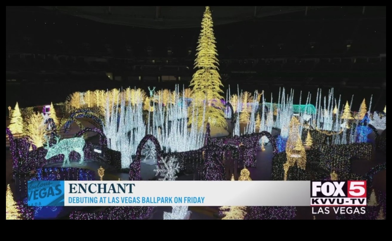 Winter's Enchantment: Navigating the Wonderland