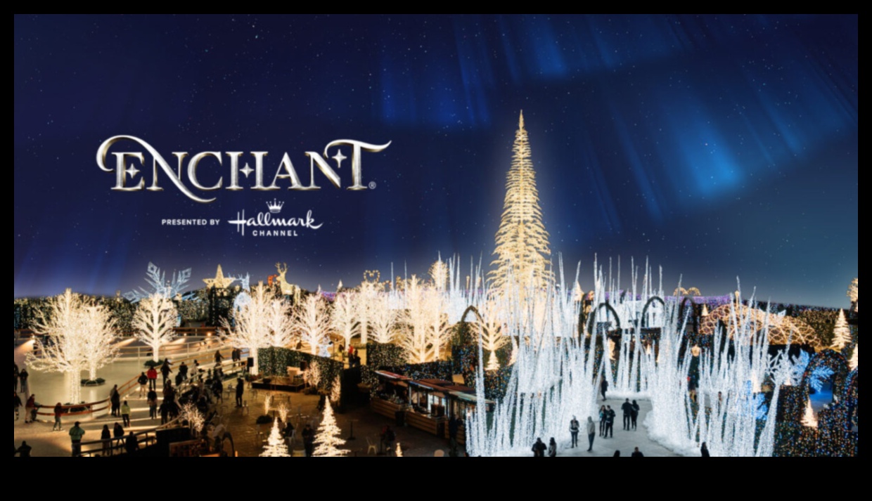 Winter's Enchantment: Navigating the Wonderland