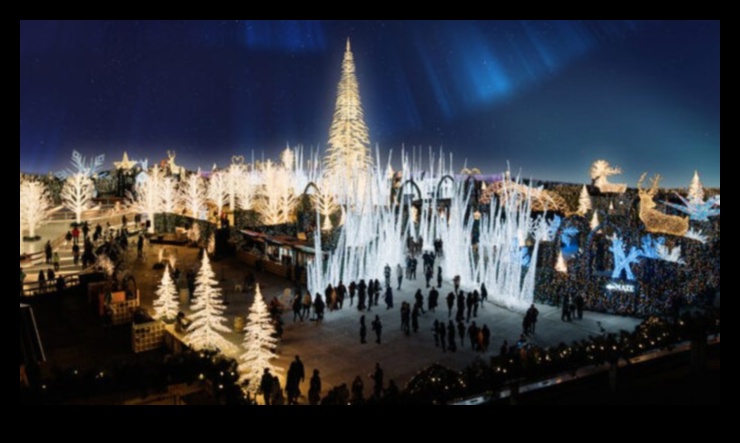 Winter's Enchantment: Navigating the Wonderland