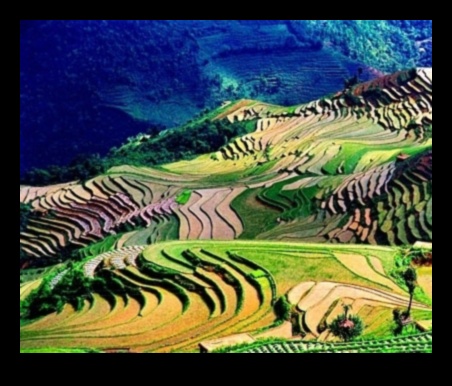 Πώς συμβάλλουν τα τοπία στις πολιτιστικές πρακτικές και παραδόσεις των κοινοτήτων;