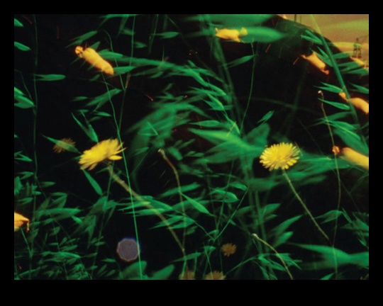 Melodic Landscapes An Exploration of Sound and Place 1 Μελωδικά Τοπία: Η Συμφωνία της Φύσης στη Μουσική