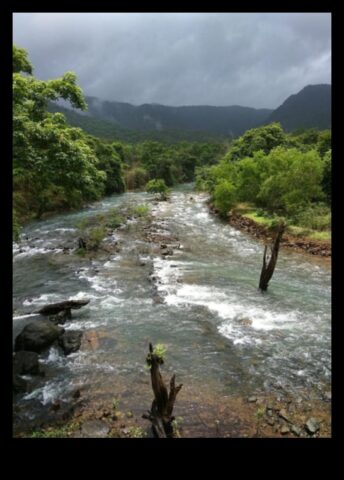 Rivers Lifelines of the Landscape