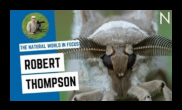 Ο φυσικός κόσμος στο επίκεντρο 1 Ψηφιακή Τέχνη Εμπνευσμένη από τη Φύση: Pixels of Natural Beauty